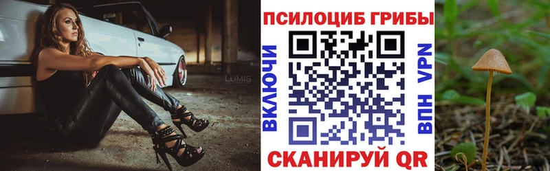 OMG tor  хочу наркоту  Сегежа  Галлюциногенные грибы Psilocybine cubensis 