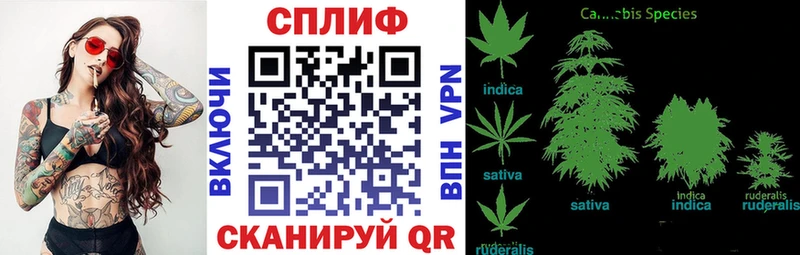 МАРИХУАНА индика  Сегежа 
